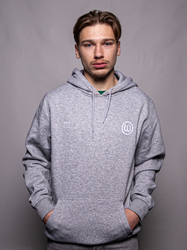 Bluza DD12 szara